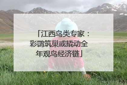 江西鸟类专家：彩鹮筑巢或撬动全年观鸟经济链