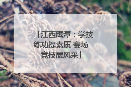 江西鹰潭：学技练功提素质 赛场竞技展风采