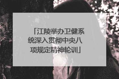 江陵举办卫健系统深入贯彻中央八项规定精神轮训