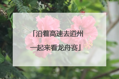 沿着高速去道州 一起来看龙舟赛