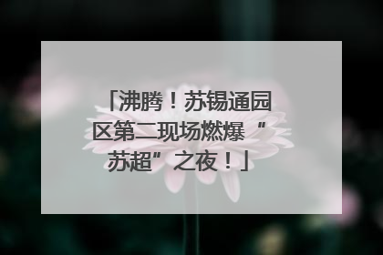 沸腾！苏锡通园区第二现场燃爆“苏超”之夜！