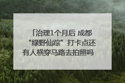 治理1个月后 成都“绿野仙踪”打卡点还有人横穿马路去拍照吗？｜民情瞭望