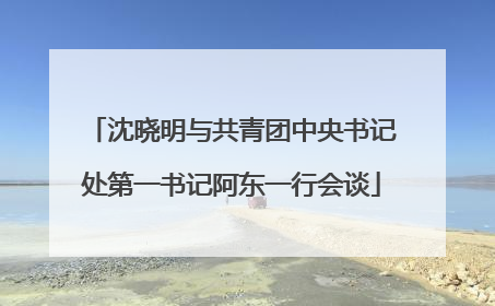 沈晓明与共青团中央书记处第一书记阿东一行会谈