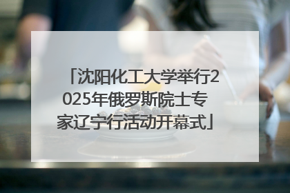 沈阳化工大学举行2025年俄罗斯院士专家辽宁行活动开幕式