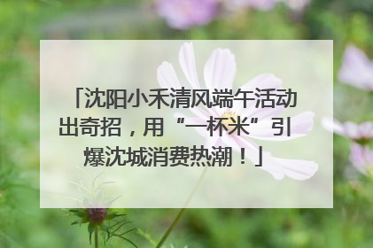 沈阳小禾清风端午活动出奇招，用“一杯米”引爆沈城消费热潮！