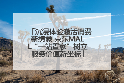 沉浸体验激活消费新想象 京东MALL“一站置家”树立服务价值新坐标