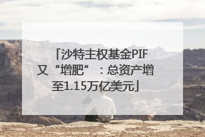 沙特主权基金PIF又“增肥”：总资产增至1.15万亿美元