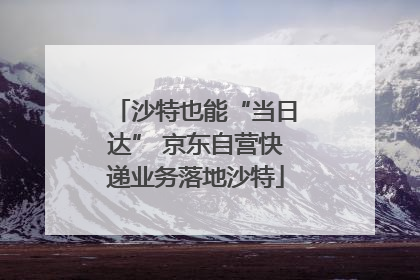 沙特也能“当日达” 京东自营快递业务落地沙特