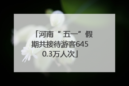 河南“ 五一”假期共接待游客6450.3万人次