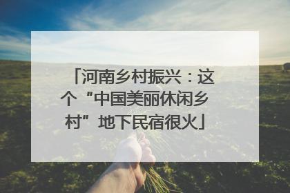 河南乡村振兴：这个“中国美丽休闲乡村”地下民宿很火