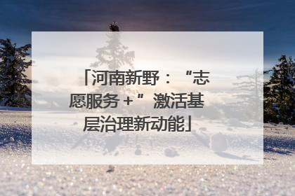 河南新野：“志愿服务＋”激活基层治理新动能