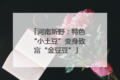 河南新野：特色“小土豆”变身致富“金豆豆”