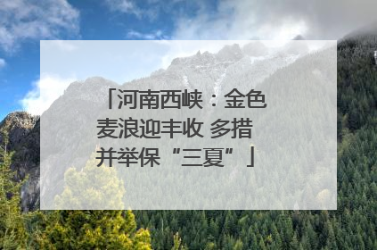 河南西峡：金色麦浪迎丰收 多措并举保“三夏”