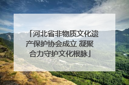 河北省非物质文化遗产保护协会成立 凝聚合力守护文化根脉