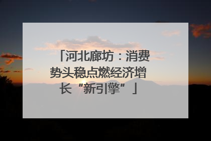 河北廊坊：消费势头稳点燃经济增长“新引擎”