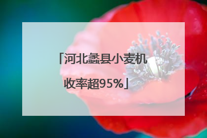 河北蠡县小麦机收率超95%