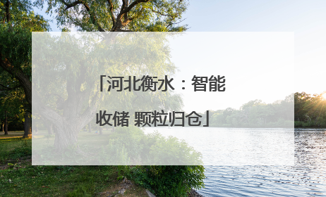 河北衡水：智能收储 颗粒归仓