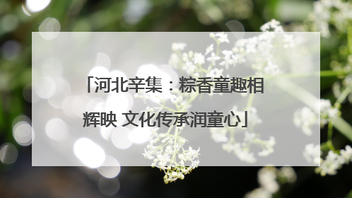 河北辛集：粽香童趣相辉映 文化传承润童心