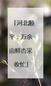 河北顺平：万余亩鲜杏采收忙