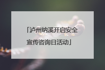 泸州纳溪开启安全宣传咨询日活动