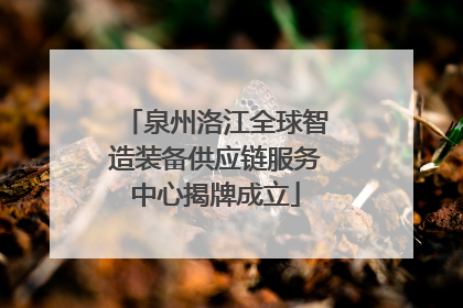 泉州洛江全球智造装备供应链服务中心揭牌成立