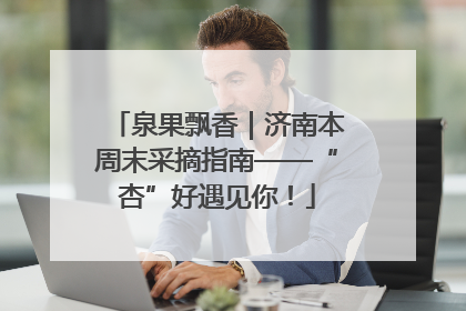 泉果飘香｜济南本周末采摘指南——“杏”好遇见你！