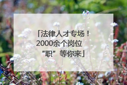 法律人才专场！2000余个岗位“职”等你来