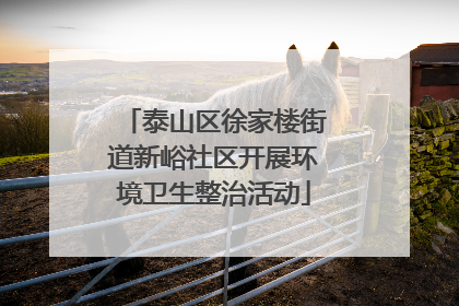 泰山区徐家楼街道新峪社区开展环境卫生整治活动
