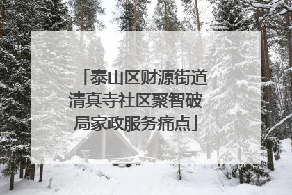 泰山区财源街道清真寺社区聚智破局家政服务痛点