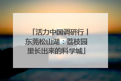 活力中国调研行丨东莞松山湖：荔枝园里长出来的科学城