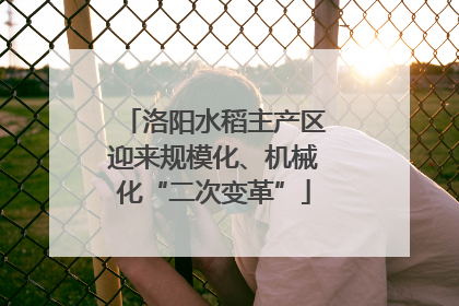 洛阳水稻主产区迎来规模化、机械化“二次变革”