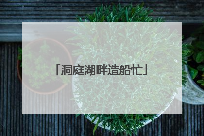 洞庭湖畔造船忙