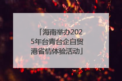 海南举办2025年台青台企自贸港省情体验活动