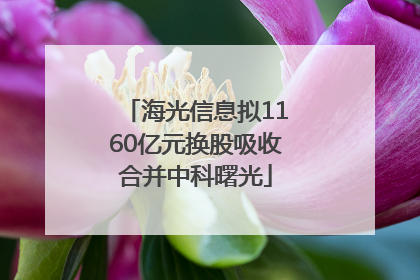 海光信息拟1160亿元换股吸收合并中科曙光