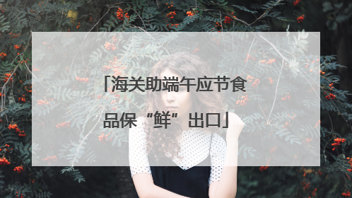 海关助端午应节食品保“鲜”出口