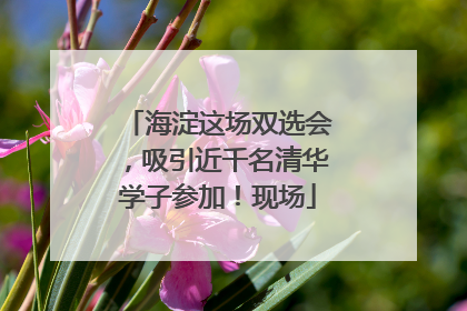 海淀这场双选会，吸引近千名清华学子参加！现场