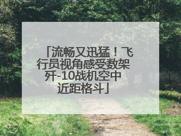 流畅又迅猛！飞行员视角感受数架歼-10战机空中近距格斗