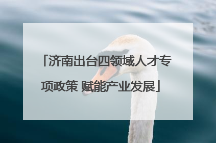 济南出台四领域人才专项政策 赋能产业发展