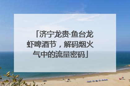 济宁龙贵·鱼台龙虾啤酒节，解码烟火气中的流量密码