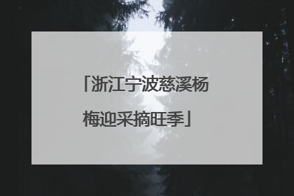 浙江宁波慈溪杨梅迎采摘旺季