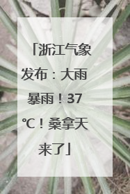 浙江气象发布：大雨暴雨！37℃！桑拿天来了