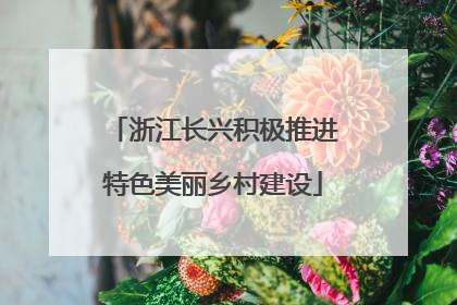 浙江长兴积极推进特色美丽乡村建设