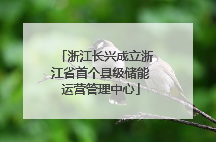 浙江长兴成立浙江省首个县级储能运营管理中心