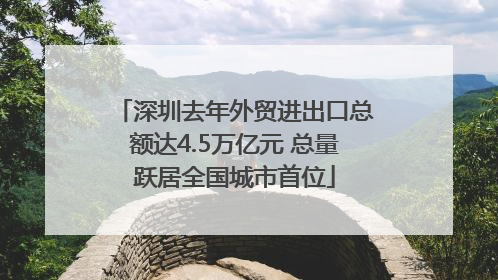 深圳去年外贸进出口总额达4.5万亿元 总量跃居全国城市首位