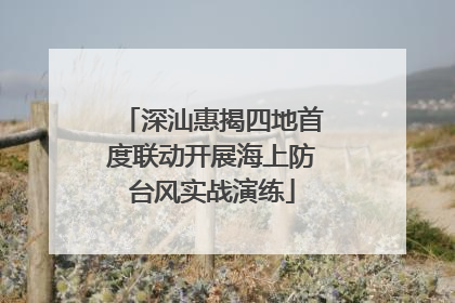 深汕惠揭四地首度联动开展海上防台风实战演练
