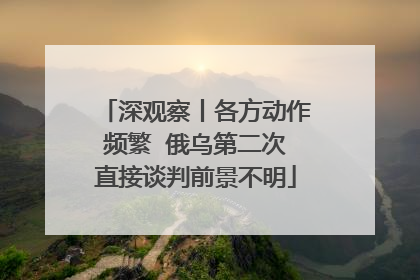 深观察丨各方动作频繁  俄乌第二次直接谈判前景不明