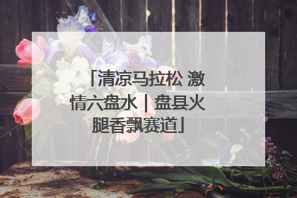 清凉马拉松 激情六盘水｜盘县火腿香飘赛道
