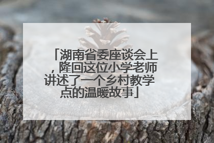 湖南省委座谈会上，隆回这位小学老师讲述了一个乡村教学点的温暖故事