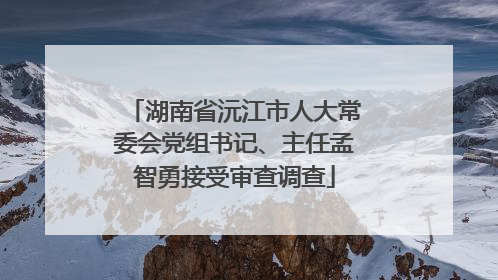 湖南省沅江市人大常委会党组书记、主任孟智勇接受审查调查