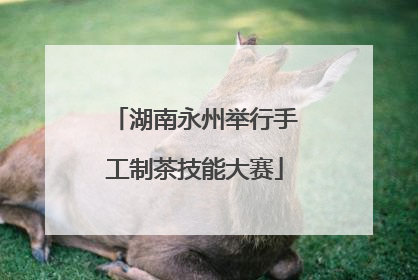 湖南永州举行手工制茶技能大赛